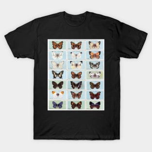 NATURAL HISTORY BUTTERFLIES SPECIMEN BOTANICAL POSTER T-Shirt